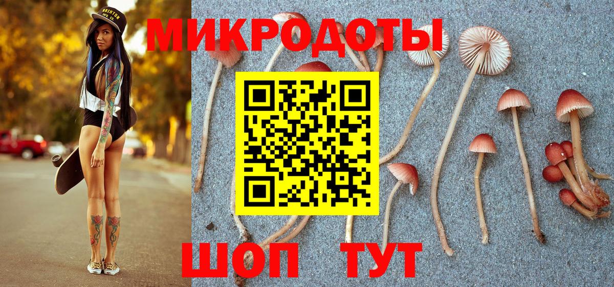 Псилоцибиновые грибы Cubensis Сорочинск