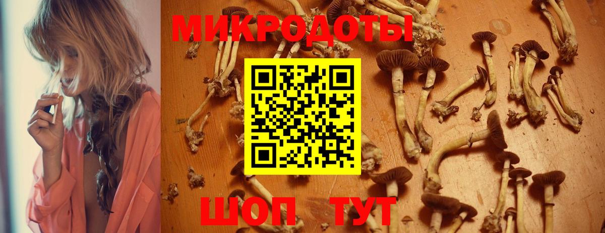 Псилоцибиновые грибы Psilocybine cubensis  Галлюциногенные грибы Magic Shrooms  Вход с VPN  Сорочинск 
